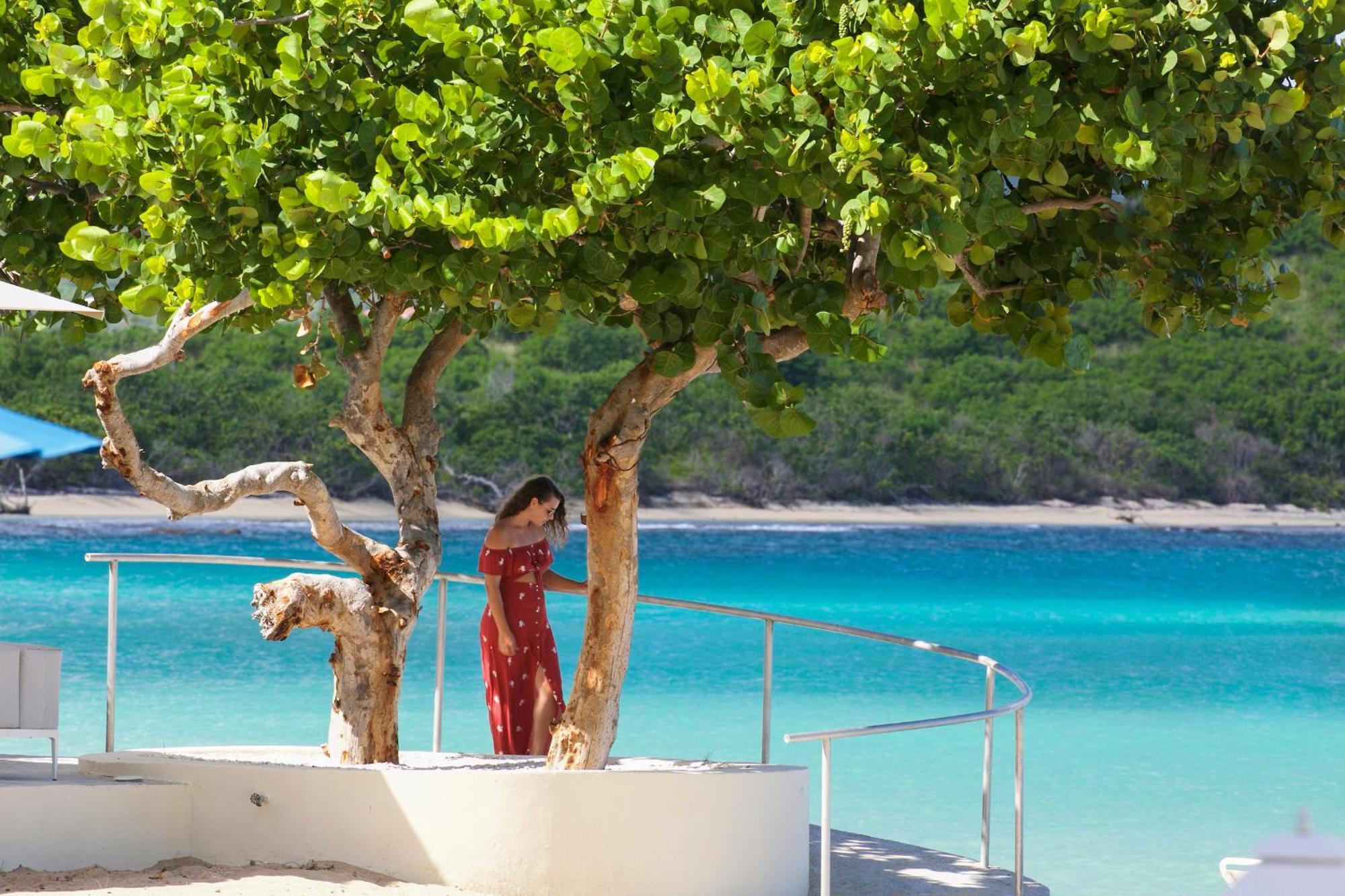 The Buccaneer Beach & Golf Resort Christiansted Exteriör bild