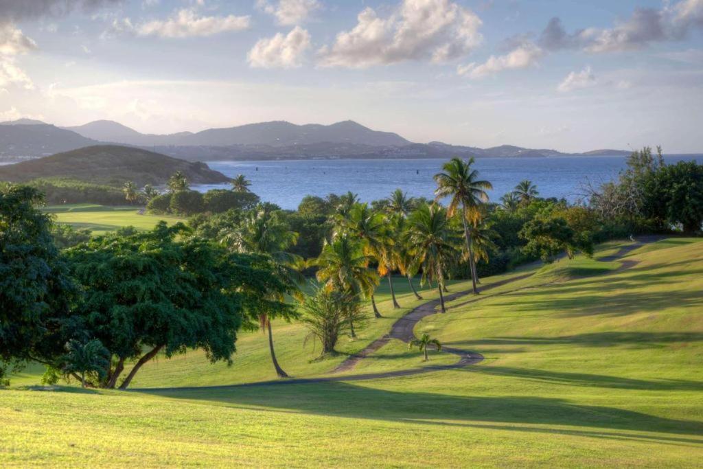 The Buccaneer Beach & Golf Resort Christiansted Rum bild